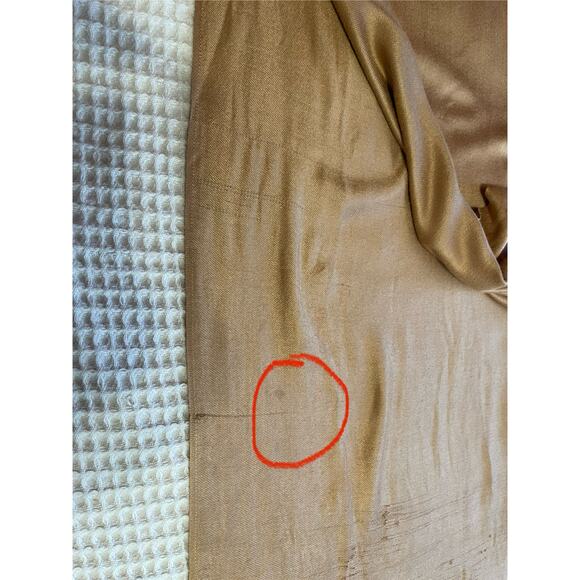 Pashmina Cashmere Boho Eventwear Gold Champagne Scarf, Shawl or Wrap - Picture 2 of 11